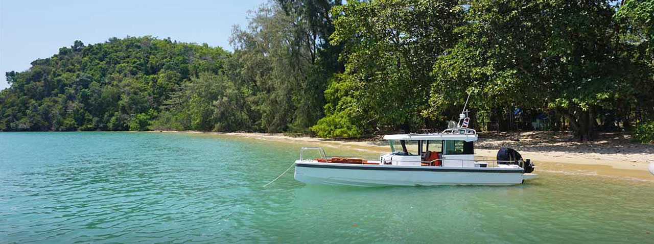 Axopar 28 Speedboat - Phuket Yacht Charter