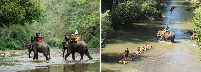 Elephant Riding & Bamboo Rafting Tour