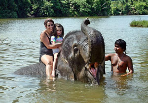 Khao Lak Elephant Trekking and Bathing