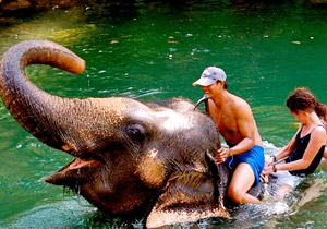 Krabi Elephant Trekking & River Camp