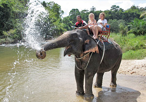 Bamboo Rafting or River Canoeing with Elephant Trekking & Elephant Bathing