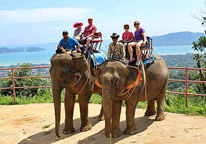 Phuket Elephant Trekking & ATV