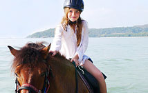 Pony Ride for Kids