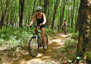 Phuket Countryside Bike Tour Half Day
