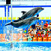 Phuket Dolphin Show Ticket