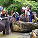 Samui Elephant Trekking