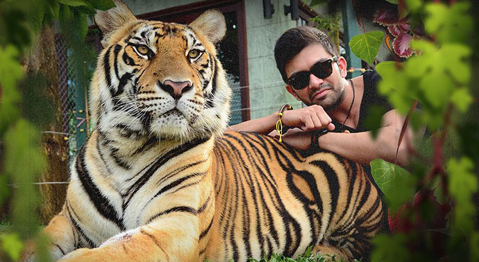 Tiger Kingdom Phuket